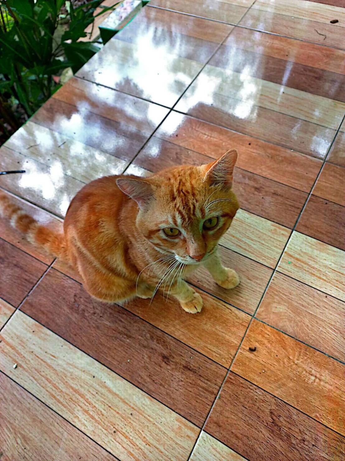 Lanta Maikeaw Bungalow Ko Lanta Kültér fotó